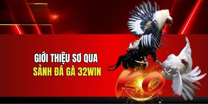 Đá gà 32win và kiến thức trọng tâm